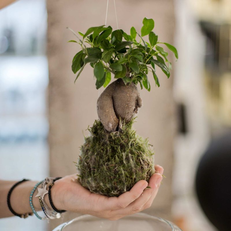 categories-shop-gabrielas-home-decor-la-manga-club-www.gabrielashomedecor.com